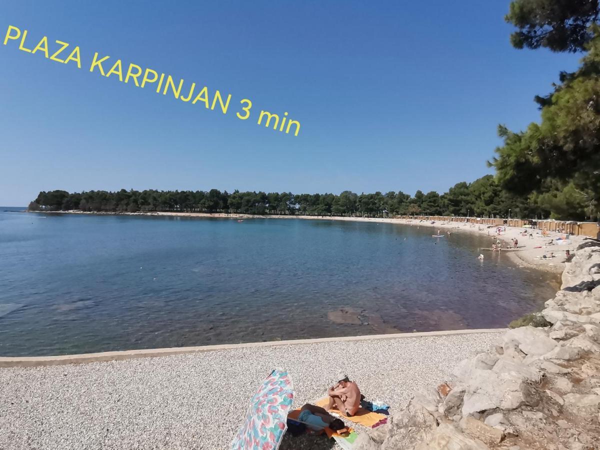 Apartman Hola Novigrad Istria Exteriör bild